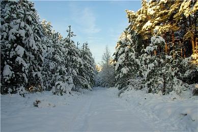 开发者表示《赛博朋克2077》无意加入第三人称视角