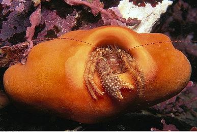 PS商店《最终幻想7》“重生+重制版”捆绑包即将涨价