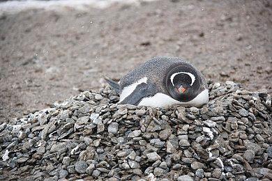 开发者表示《堕落之主》将拆分PvE＆PvP平衡